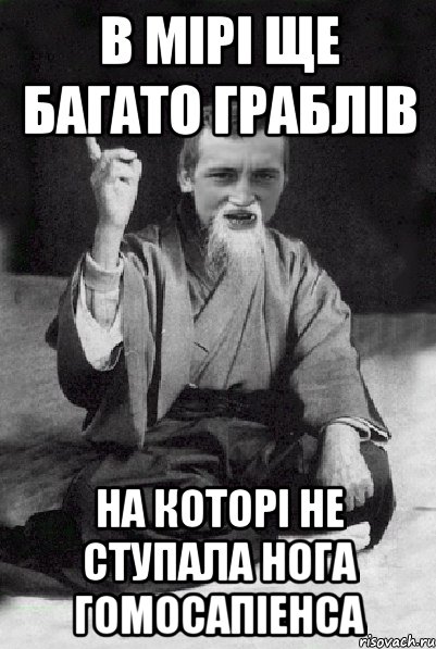 в мірі ще багато граблів на которі не ступала нога гомосапіенса, Мем Мудрий паца