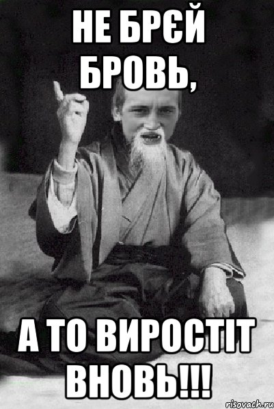 Не брєй бровь, а то виростіт вновь!!!, Мем Мудрий паца