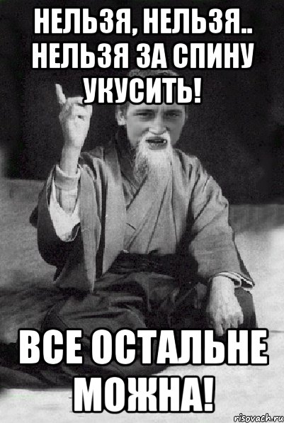 нельзя, нельзя.. нельзя за спину укусить! все остальне можна!, Мем Мудрий паца