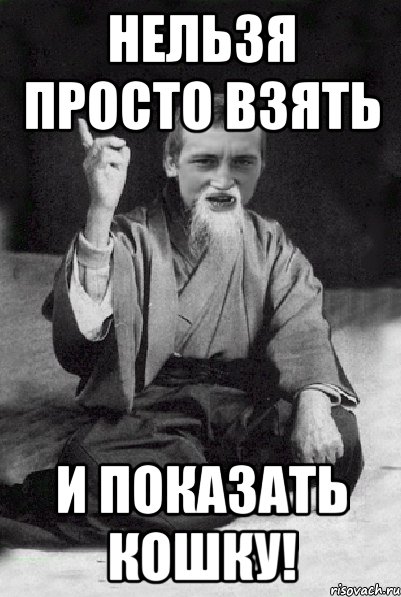 НЕЛЬЗЯ ПРОСТО ВЗЯТЬ И ПОКАЗАТЬ КОШКУ!, Мем Мудрий паца