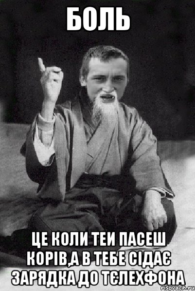 БОЛЬ ЦЕ КОЛИ ТЕИ ПАСЕШ КОРІВ,А В ТЕБЕ СІДАЄ ЗАРЯДКА ДО ТЄЛЕХФОНА, Мем Мудрий паца