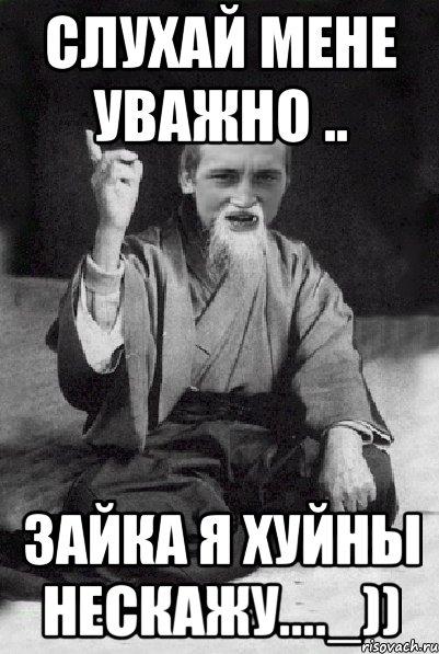 слухай мене уважно .. зайка я хуйны нескажу...._)), Мем Мудрий паца