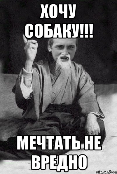 хочу собаку!!! мечтать не вредно, Мем Мудрий паца