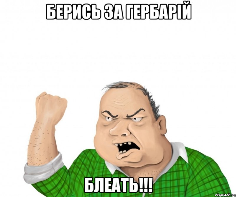 Берись за гербарій БЛЕАТЬ!!!, Мем мужик