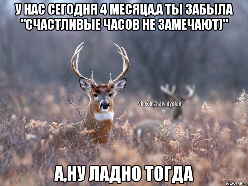 у нас сегодня 4 месяца,а ты забыла "Счастливые часов не замечают)" а,ну ладно тогда, Мем   Наивный олень