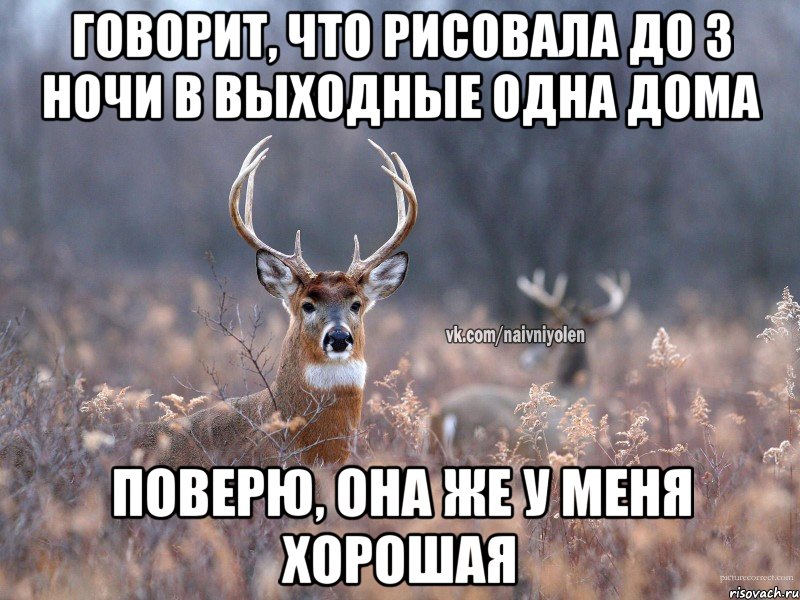 Говорит, что рисовала до 3 ночи в выходные одна дома Поверю, она же у меня хорошая, Мем   Наивный олень