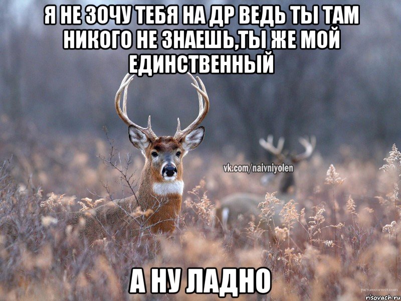 Я не зочу тебя на др ведь ты там никого не знаешь,ты же мой единственный А ну ладно, Мем   Наивный олень