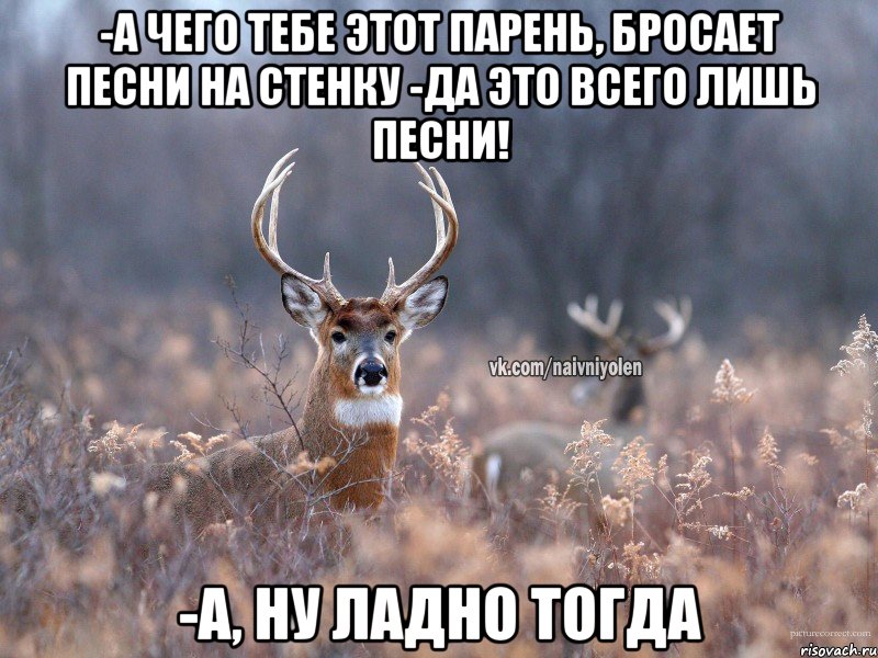 -а чего тебе этот парень, бросает песни на стенку -да это всего лишь песни! -а, ну ладно тогда, Мем   Наивный олень