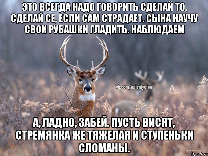 Это всегда надо говорить сделай то, сделай се, если сам страдает. Сына научу свои рубашки гладить. Наблюдаем А, ладно, забей. Пусть висят, стремянка же тяжелая и ступеньки сломаны., Мем   Наивный олень