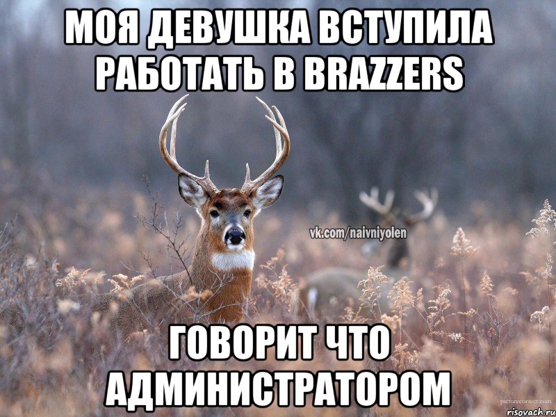 моя девушка вступила работать в brazzers говорит что администратором, Мем   Наивный олень