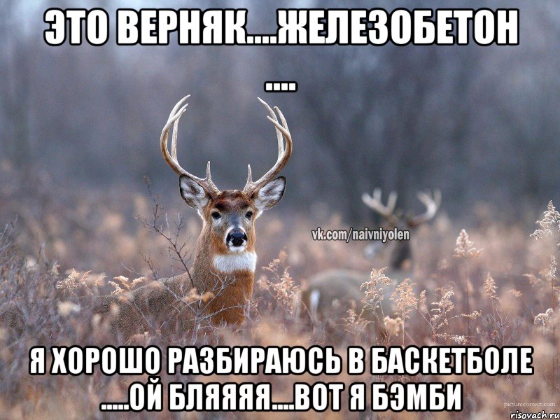 Это верняк....железобетон .... Я хорошо разбираюсь в баскетболе .....ой бляяяя....Вот я Бэмби, Мем   Наивный олень