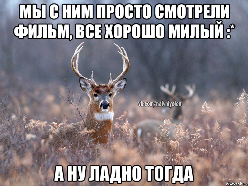 мы с ним просто смотрели фильм, все хорошо милый :* а ну ладно тогда, Мем   Наивный олень