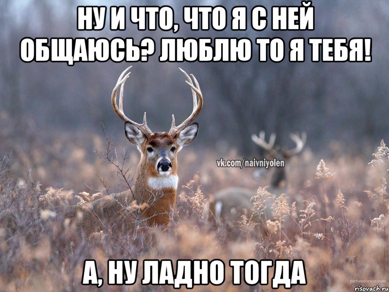 ну и что, что я с ней общаюсь? люблю то я тебя! а, ну ладно тогда, Мем   Наивный олень