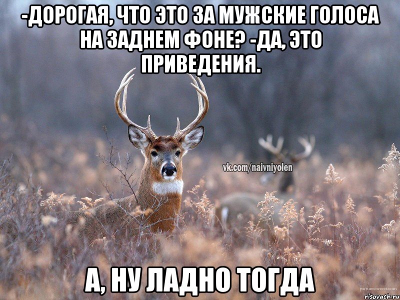 -Дорогая, что это за мужские голоса на заднем фоне? -Да, это приведения. А, ну ладно тогда, Мем   Наивный олень