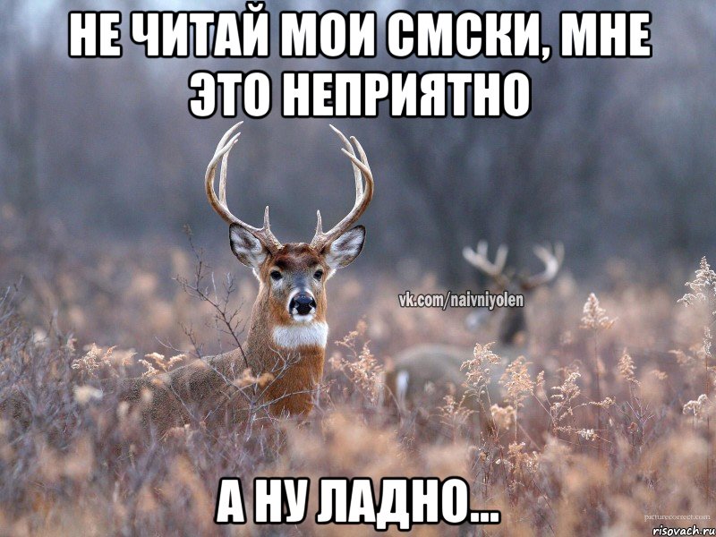 Не читай мои СМСки, мне это неприятно а ну ладно..., Мем   Наивный олень