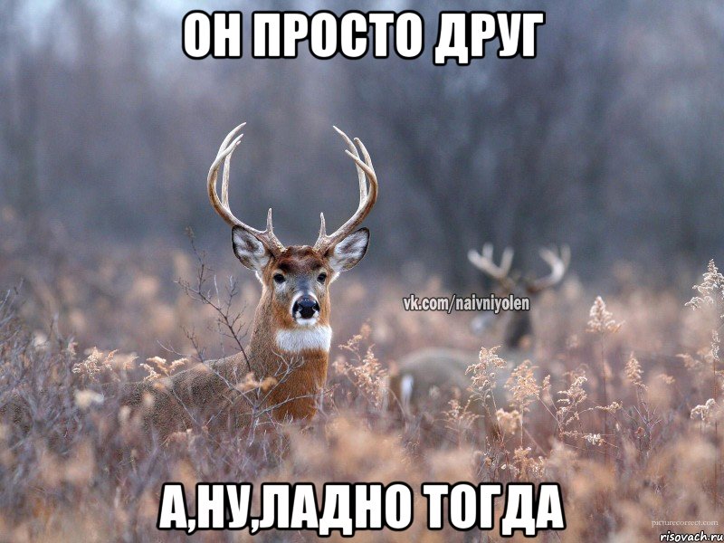 Он просто друг А,ну,ладно тогда, Мем   Наивный олень