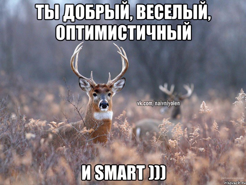 Ты добрый, веселый, оптимистичный И smart ))), Мем   Наивный олень