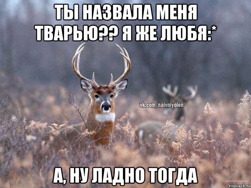 Ты назвала меня тварью?? Я же любя:* А, ну ладно тогда, Мем   Наивный олень