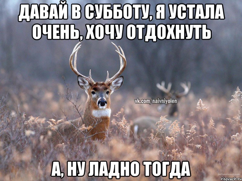 давай в субботу, я устала очень, хочу отдохнуть а, ну ладно тогда, Мем   Наивный олень