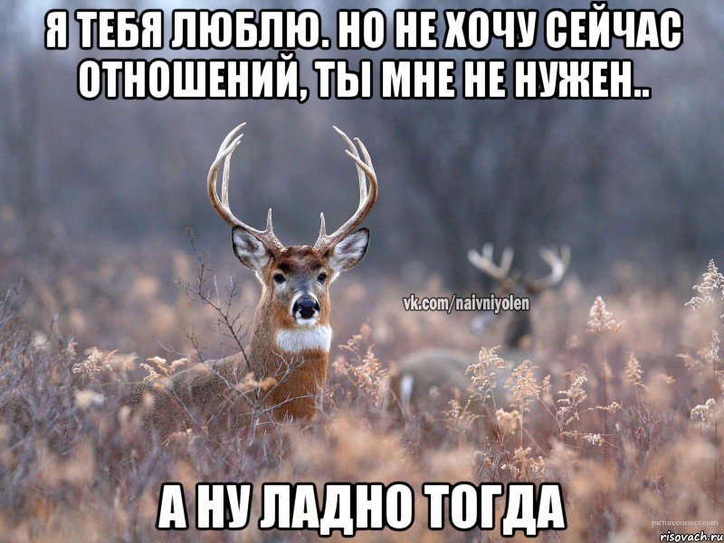 Я тебя люблю. Но не хочу сейчас отношений, ты мне не нужен.. А ну ладно тогда, Мем   Наивный олень