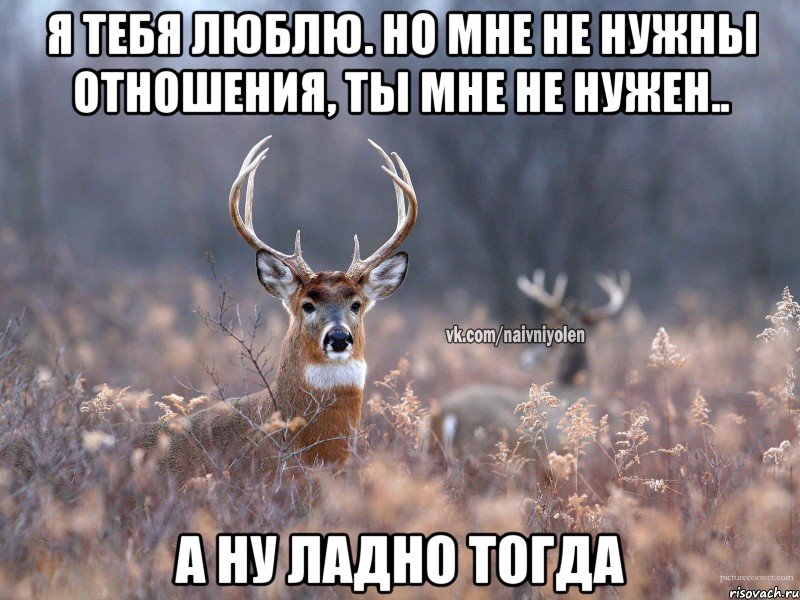 Я тебя люблю. Но мне не нужны отношения, ты мне не нужен.. А ну ладно тогда, Мем   Наивный олень