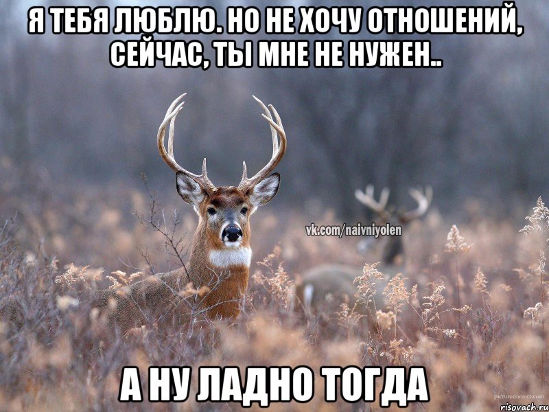 Я тебя люблю. Но не хочу отношений, сейчас, ты мне не нужен.. А ну ладно тогда, Мем   Наивный олень