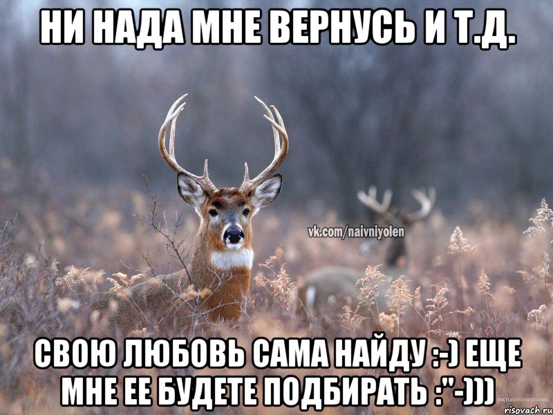 Ни нада мне вернусь и т.д. Свою любовь сама найду :-) Еще мне ее будете подбирать :"-))), Мем   Наивный олень