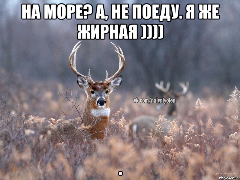 На море? А, не поеду. Я же жирная )))) ., Мем   Наивный олень