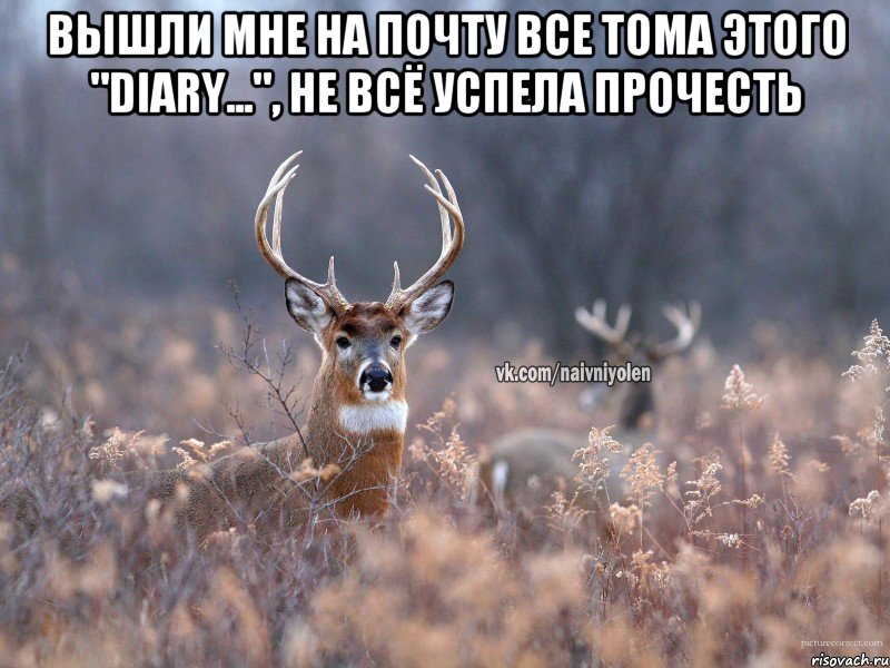 вышли мне на почту все тома этого "diary...", не всё успела прочесть , Мем   Наивный олень