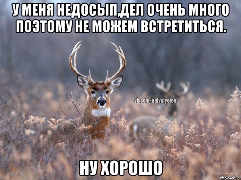 У меня недосып,дел очень много поэтому не можем встретиться. ну хорошо, Мем   Наивный олень