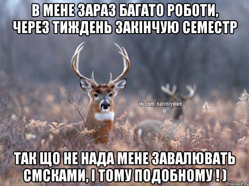 В мене зараз багато роботи, через тиждень закінчую семестр Так що не нада мене завалювать смсками, і тому подобному ! ), Мем   Наивный олень