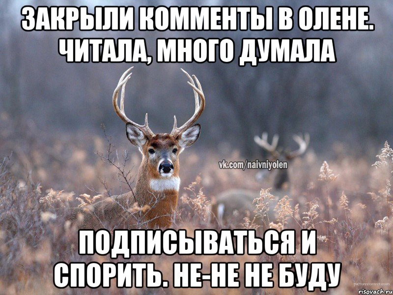 Закрыли комменты в олене. Читала, много думала Подписываться и спорить. Не-не не буду, Мем   Наивный олень