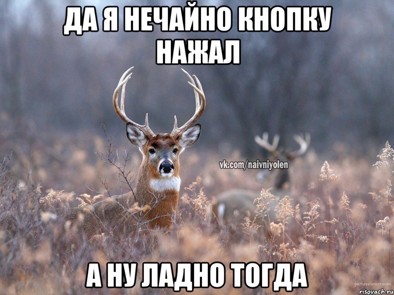 ДА Я НЕЧАЙНО КНОПКУ НАЖАЛ А НУ ЛАДНО ТОГДА, Мем   Наивный олень