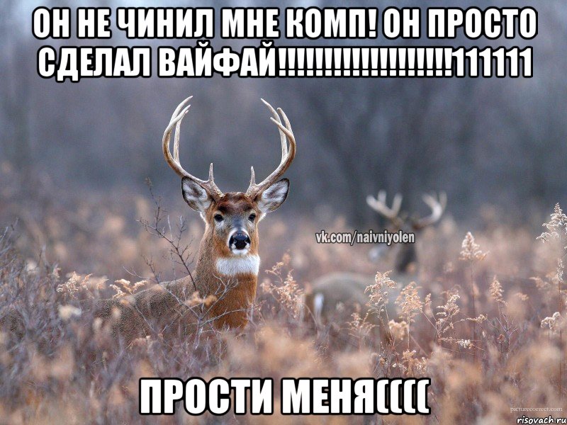 ОН НЕ ЧИНИЛ МНЕ КОМП! ОН ПРОСТО СДЕЛАЛ ВАЙФАЙ!!!!!!!!!!!!!!!!!!!111111 Прости меня((((, Мем   Наивный олень