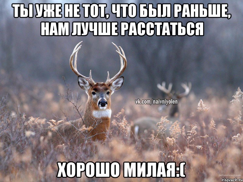 ты уже не тот, что был раньше, нам лучше расстаться хорошо милая:(, Мем   Наивный олень