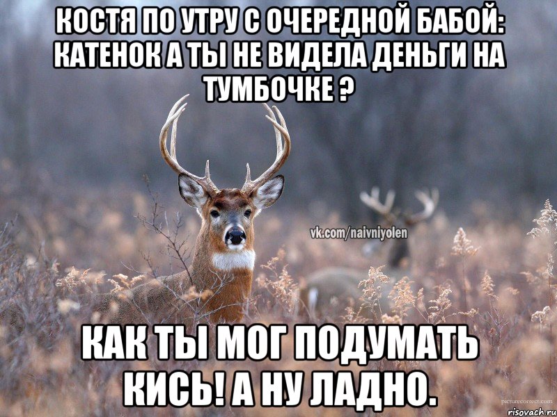 Костя по утру с очередной бабой: катенок а ты не видела деньги на тумбочке ? Как ты мог подумать кись! А ну ладно., Мем   Наивный олень