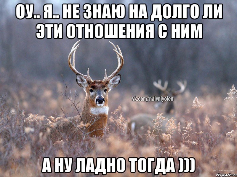 Оу.. я.. не знаю на долго ли эти отношения с ним А ну ладно тогда ))), Мем   Наивный олень