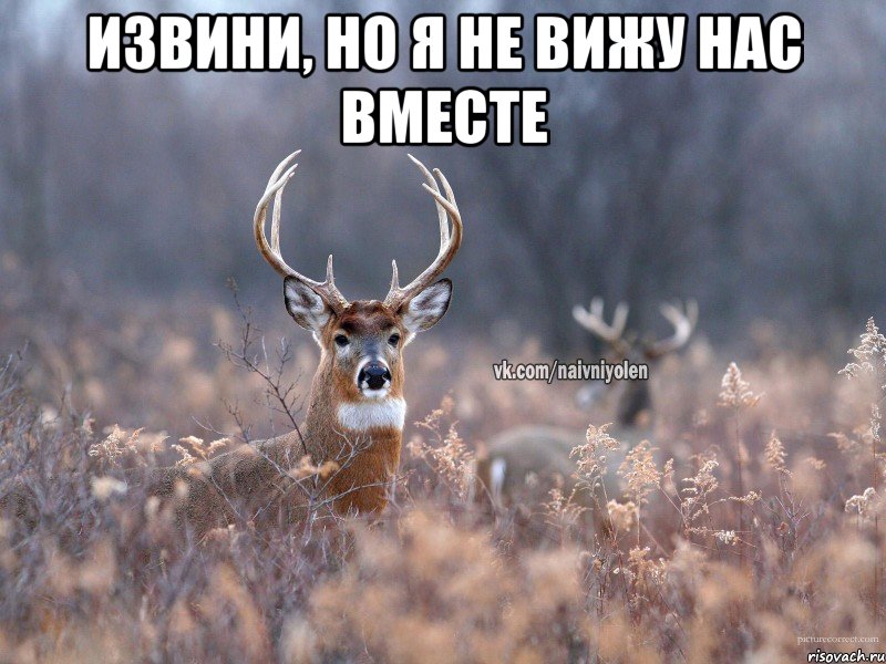 извини, но я не вижу нас вместе , Мем   Наивный олень