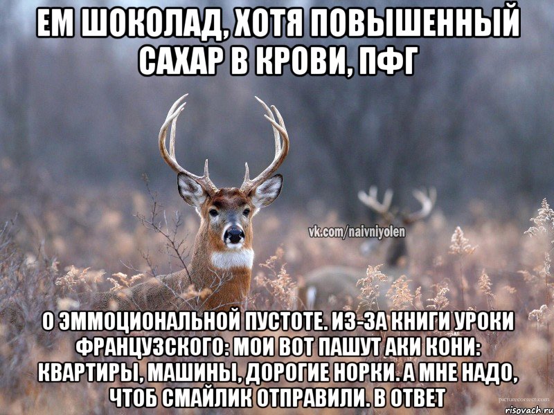 Ем шоколад, хотя повышенный сахар в крови, пфг О эммоциональной пустоте. Из-за книги уроки французского: мои вот пашут аки кони: квартиры, машины, дорогие норки. А мне надо, чтоб смайлик отправили. В ответ, Мем   Наивный олень