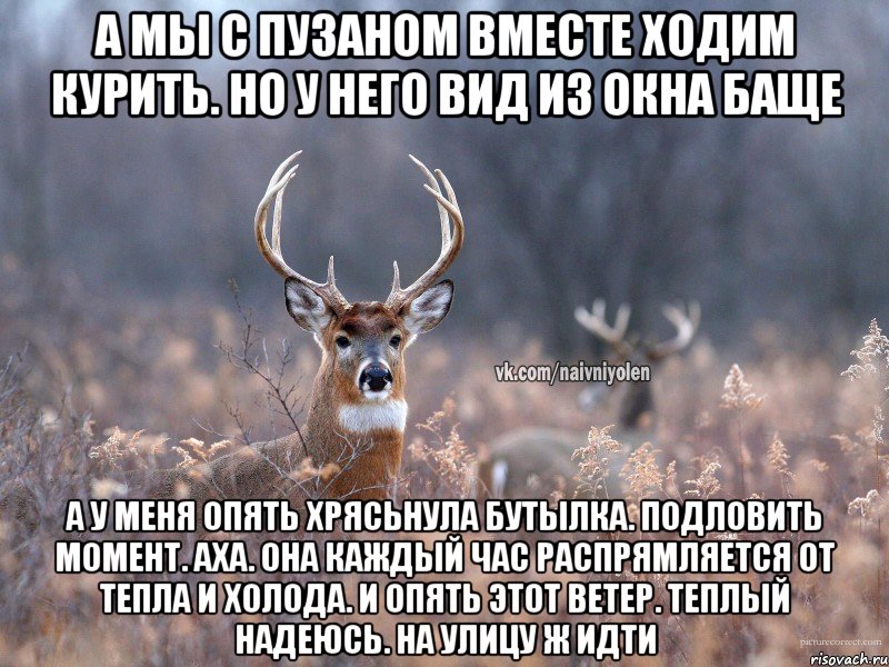 А мы с пузаном вместе ходим курить. Но у него вид из окна баще А у меня опять хрясьнула бутылка. Подловить момент. Аха. Она каждый час распрямляется от тепла и холода. И опять этот ветер. Теплый надеюсь. На улицу ж идти, Мем   Наивный олень