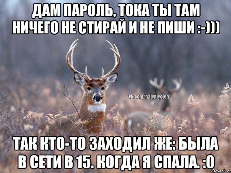 Дам пароль, тока ты там ничего не стирай и не пиши :-))) Так кто-то заходил же: была в сети в 15. Когда я спала. :0, Мем   Наивный олень