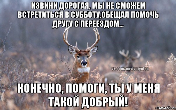 Извини дорогая, мы не сможем встретиться в субботу,обещал помочь другу с переездом... Конечно, помоги, ты у меня такой добрый!, Мем   Наивный олень