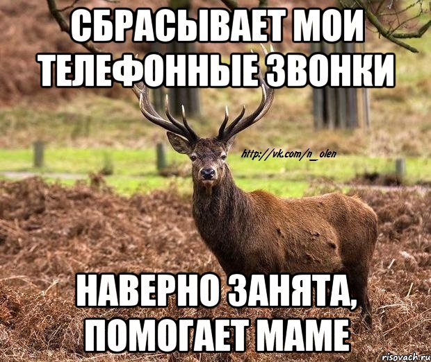 Я стал оленем а моя жена