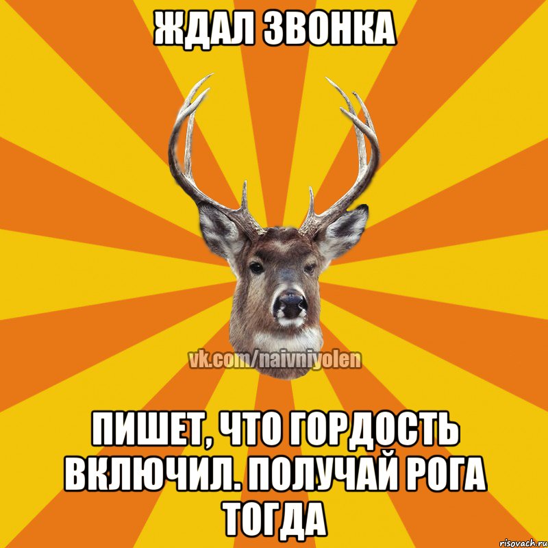 ждал звонка пишет, что гордость включил. получай рога тогда