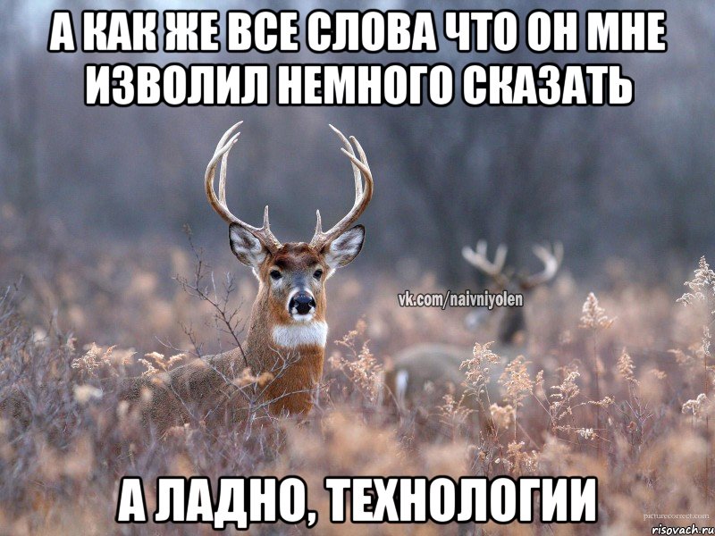 А как же все слова что он мне изволил немного сказать А ладно, технологии, Мем   Наивный олень