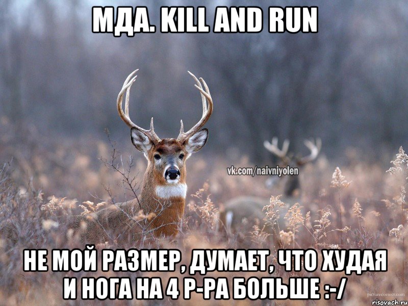 Мда. Kill and run Не мой размер, думает, что худая и нога на 4 р-ра больше :-/, Мем   Наивный олень