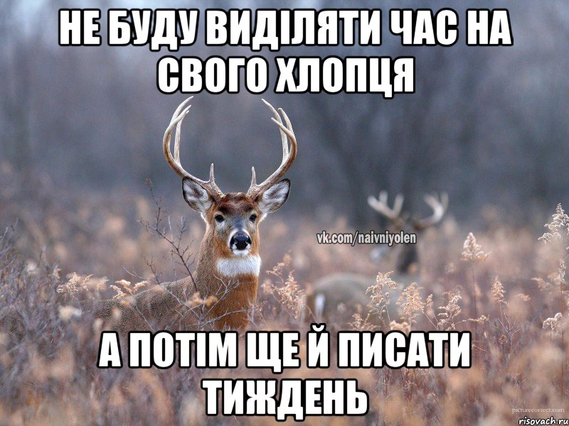 Не буду виділяти час на свого хлопця а потім ще й писати тиждень, Мем   Наивный олень