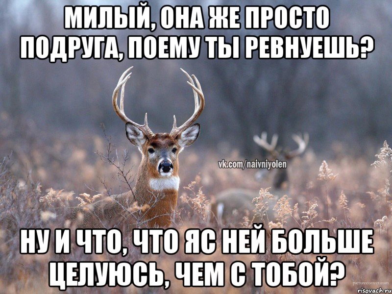 Милый, она же просто подруга, поему ты ревнуешь? Ну и что, что яс ней больше целуюсь, чем с тобой?, Мем   Наивный олень