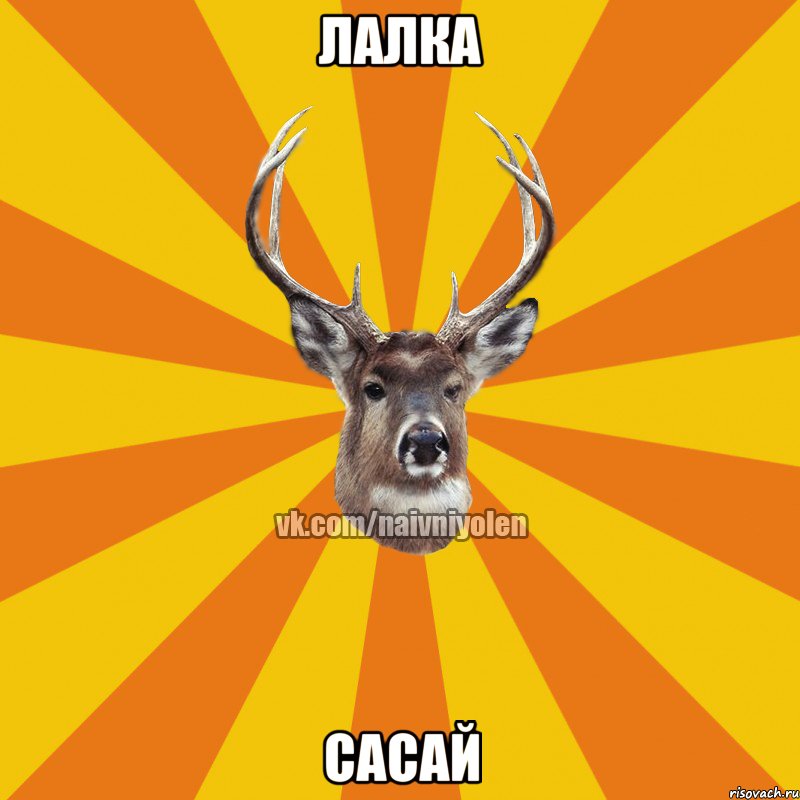 лалка сасай