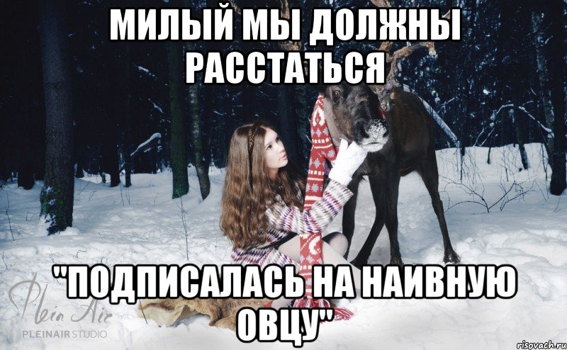 Милый мы должны расстаться "Подписалась на Наивную Овцу", Мем Наивный олень с девушкой